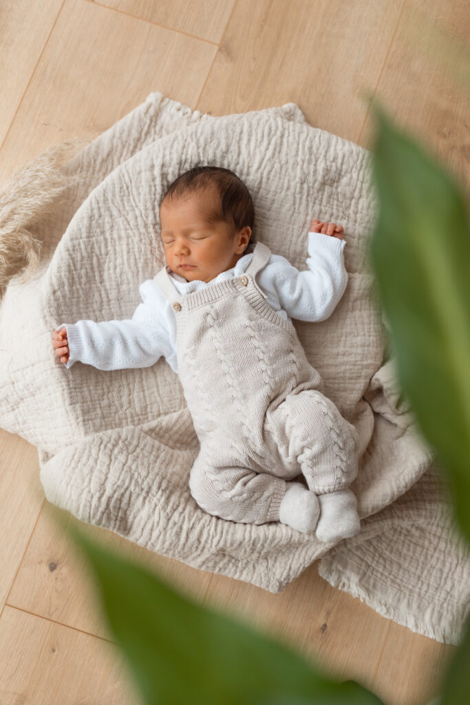 Newborn Homestory im Raum Wittlich